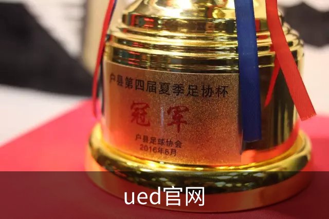 ued官网公司简介展示图
